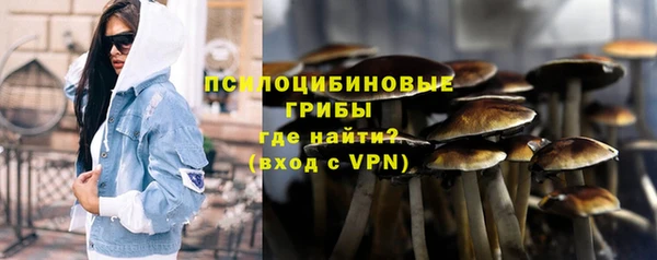прущие грибы Алзамай