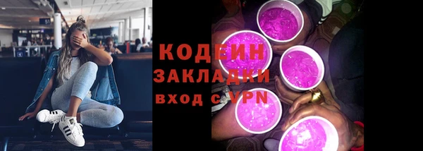 прущие грибы Алзамай