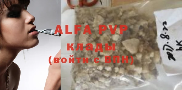 прущие грибы Алзамай