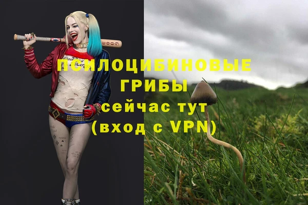 меф Алексеевка